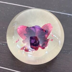 Vintage | Tarax Infinity Products Lucite Paperweight | Real Flower Orb | Canada